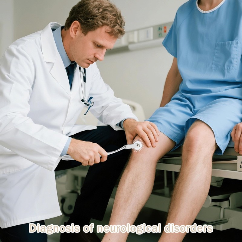 1PCS Stainless Steel Pinwheel Neurological Sense Testing Pin Wheel