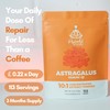 HYBRID HERBS - Astragalus Powder | High Potency Supplement -