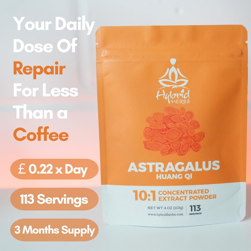 HYBRID HERBS - Astragalus Powder | High Potency Supplement -