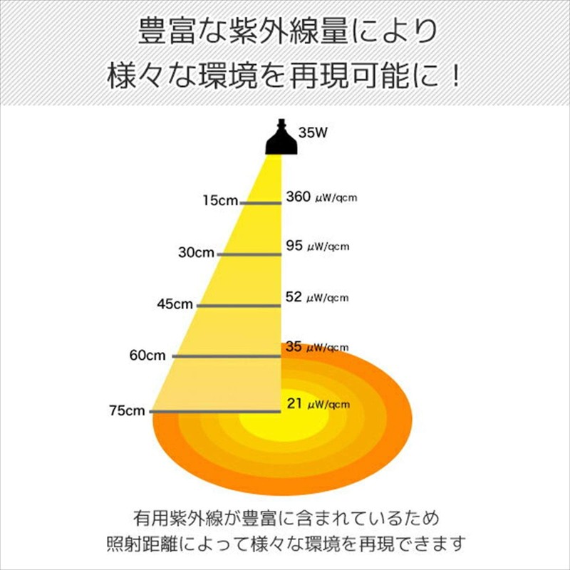 Zensui Solarium Replacement Bulb, 35W