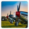 Sam Sandor - Ircraft Airplane Mustang War Plane -Light Switch