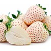 300+ White Alpine Strawberry Seeds: Heirloom, Sweet & Unique Wild