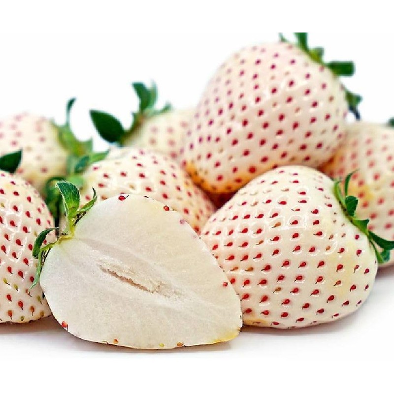 300+ White Alpine Strawberry Seeds: Heirloom, Sweet & Unique Wild