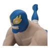 Luchador Hot Sauce Holder - 3D Printed Kitchen Decor, Unique