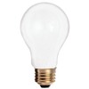 Incandescnt Bulb 25w A19