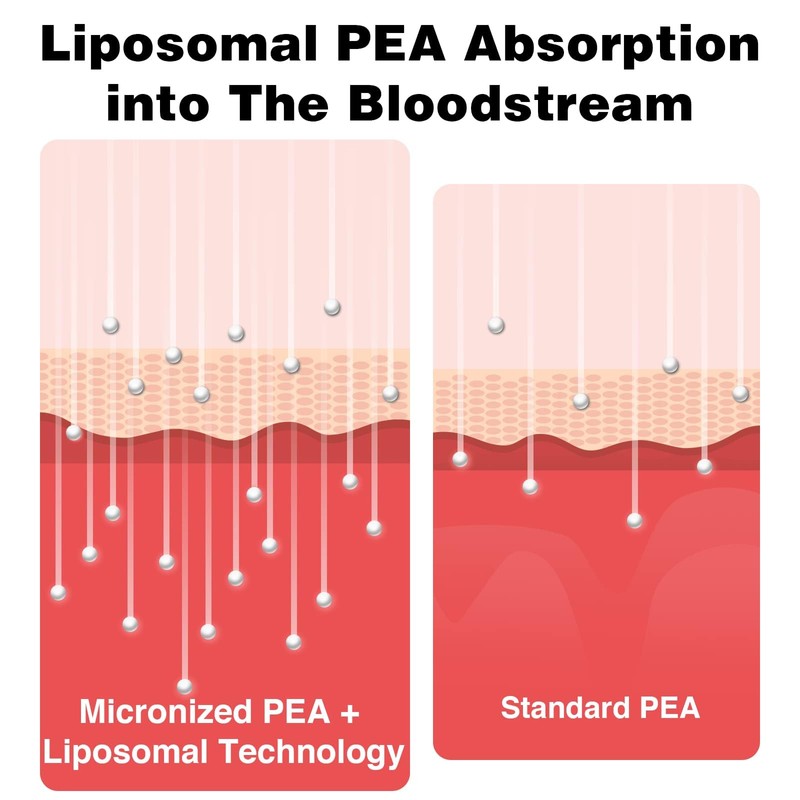Liposomal Palmitoylethanolamide 1000 mg + Luteolin 100 mg, Micronized Pea
