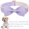 ARING PET Dog Collar, Cotton Lavender Bowtie Dog Collars, Adjustable