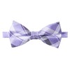 Spring Notion Men's Patterned Bow Tie Lilac