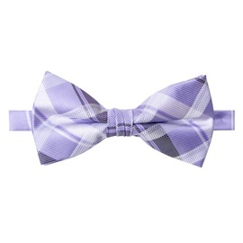 Spring Notion Men's Patterned Bow Tie Lilac