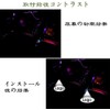 DISYEE Courtesy Lamp Courtesy Ride Honda LED High Brightness Odyssey