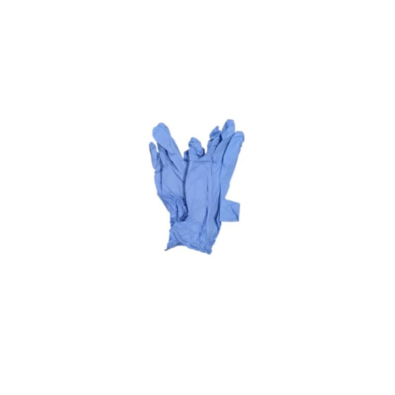 Anatomy Lab Sheep Brain Dissection Kit with Scalpel Dissection Guide
