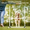 plzzree Dog Agility Jump Training Equipment: Dog Agility Jumps Course