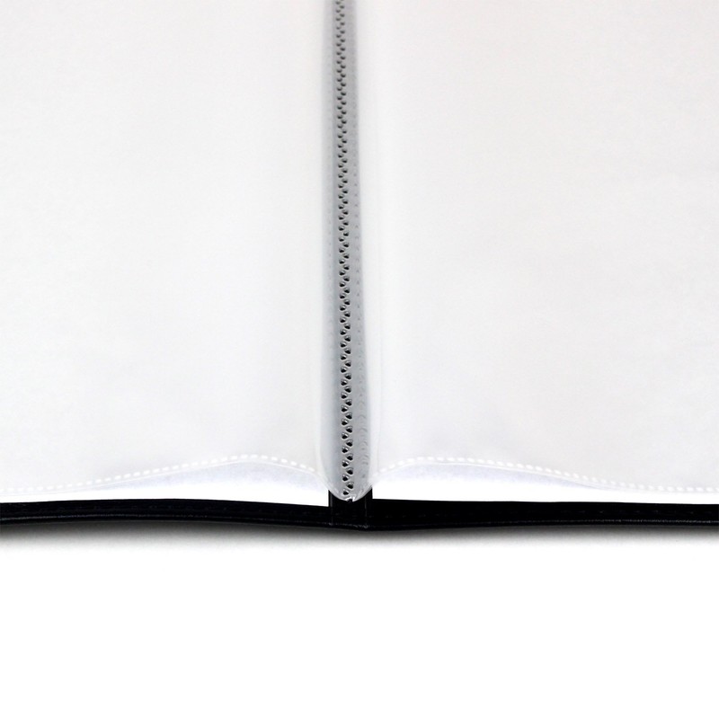 TAE Synthetic Leather File A4 10P Black SLF-10-01