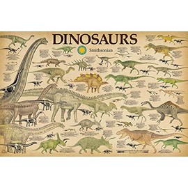Studio B Dinosaurs - by Smithsonian - Laminated Poster - 36.5" x 24.5"
