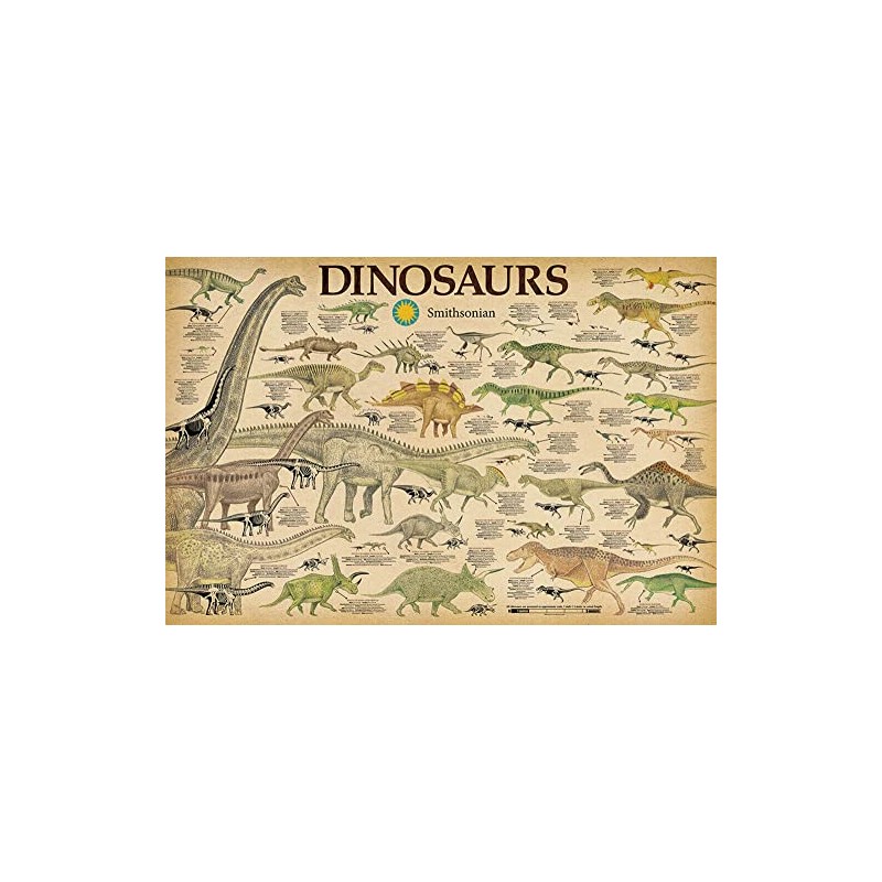 Studio B Dinosaurs - by Smithsonian - Laminated Poster -