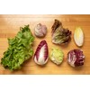 NIKA SEEDS - Vegetable Lettuce Radicchio and Endive Mix -