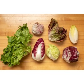 NIKA SEEDS - Vegetable Lettuce Radicchio and Endive Mix - 700 Seeds