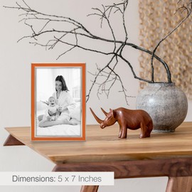 Siena Silver & Enamel Picture Frame, Tarnish Resistant Finish, Perfect Photo Frame for any End Table, Credenza, Shelf, or Nightstand, Silver Trim, Orange, 5x7