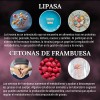 Suplemento Liposenze Black Pegasus Con Lipoenzimas Y Activos 100% Naturales