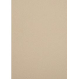 Netuno 10 Sheets of Craft Cardboard, Light Beige, DIN A4, 210 x 297 mm, 250 g, Crush Grape, Natural Cardboard, Colourful, Printable for Birthday Cards, Greeting Cards, Invitations, Business Cards,