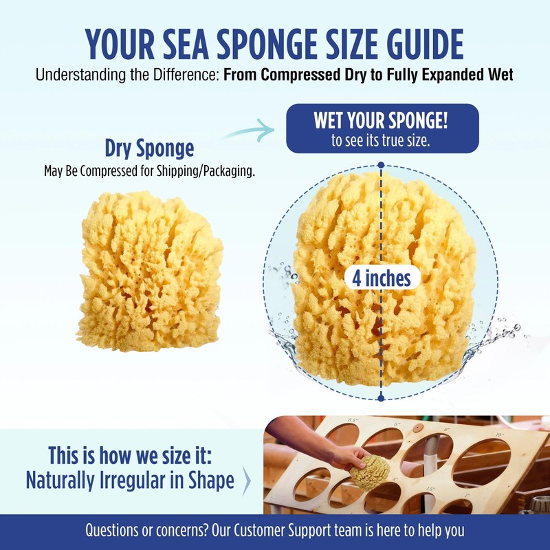 Baby Buddy Absorbent Natural Bath Sponge, Ultra Soft Premium Sea