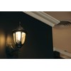 MiracleLED 604587 9W Bulb 2-Pack Dark Sky Light, Amber