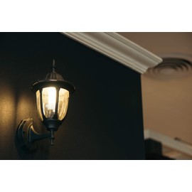 MiracleLED 604587 9W Bulb 2-Pack Dark Sky Light, Amber