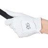 Cebu Golf (cebu Golf) Golf Glove (Men's Golf Gloves) sevg