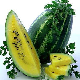 Mountain Sweet Watermelon Seeds - 1 OZ ~400 Seeds - Heirloom, Open Pollinated, Non-GMO, Farm & Vegetable Gardening/Fruit Seeds
