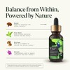 Fantastic Fungi Reishi Mushroom Extract Drops - Chill Elixir Mushroom