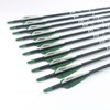 Tiger Archery 30Inch Carbon Arrow Practice Hunting Arrows with Removable