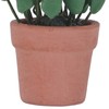 1:12 Miniature Dollhouse Plants Hand Crafted High Simulation Mini Potted