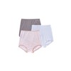 Bali Women's Skimp Skamp Brief Panty - 3 Pack, A633,