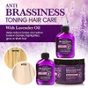 Hair Chemist Aceite Capilar Hidratante e Hidratante con Aceite de