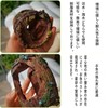 Aquarium Aquarium Object Barrel Hideaway Aquarium Aquarium Fish Toy DIY