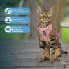 Voyager Escape Proof Cat Harness and Leash Set with Reflective