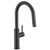FORIOUS Kitchen Faucet with Pull Down Sprayer, Classic Matte Black,