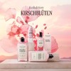 L'OCCITANE - Iridescent Body Lotion Cherry Blossom - 75 ml