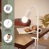 ledscom.de Clamp Light, Gooseneck LELE, Switch, Matte White, 1x E27