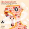 COOWONE Dog Leash and Harness Set, Soft Lightweight Mesh Step-in