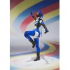 S.H.Figuarts Akiba Blue by Bandai