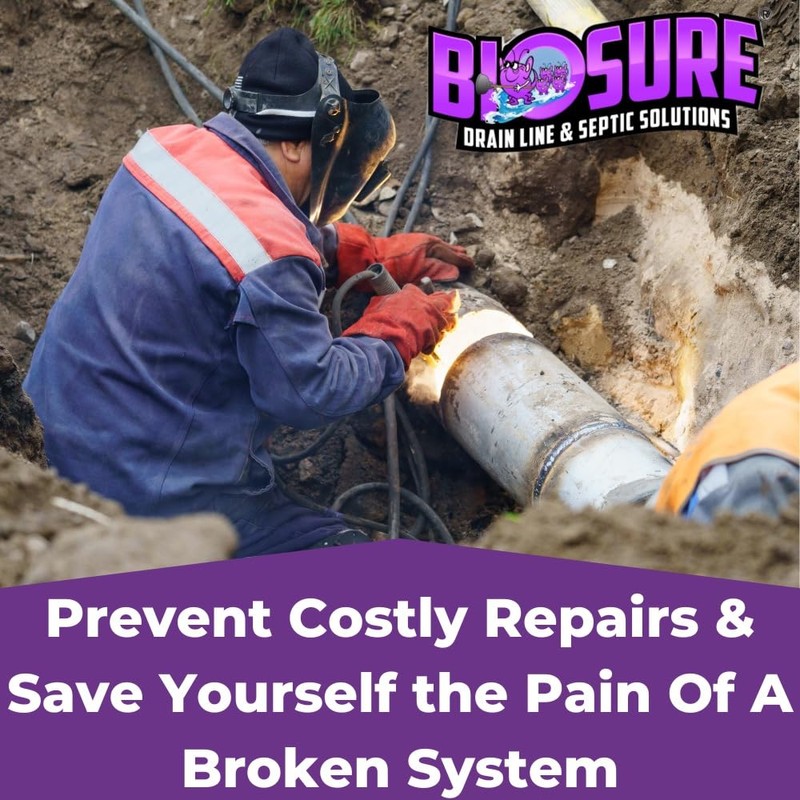 BIOSURE SeptiComplete Premium Powder: 2 lbs of Septic Tank &
