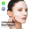 SUNGBOON EDITOR Deep Collagen CICA Tea Tree Overnight Mask |