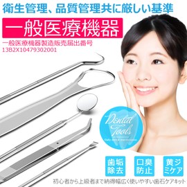 シルバー 【一般医療機器】歯石取り 器具 デンタルミラー スケーラー 舌ブラシ 歯垢除去 ステンレス鋼製 収納ケース付き 五点セット