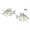 Salty Bones Crappie Mega Sticker Double Pack - Made in
