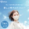 【風邪予防 マスク 不織布 DAILY FIT MASK Filter+ 5枚 ペールベージュ×ボルドー【ふつう 旧:小さめ