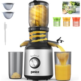Ganiza Juicer Machines, Cold Press Juicer with 4.3" Large Feed Chute for Whole Fruits & Vegetables, Slow Masticating juicers with 3 Replace Filters for Batch Juicing, Easy to Clean, BPA Free(Silver)