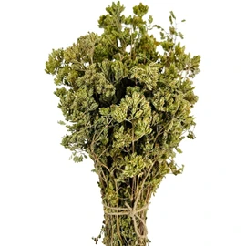 Oregano bunch organic wild sun dried from the Greek mountains, 50g whole oregano bunch dark green with leaves and stems