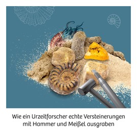 Kosmos KOSMOS 657918 Fossilien Ausgrabungs-Set, Grabe echte Versteinerungen und Bernstein selbst aus, mit Hammer und Meißel, Experimentierset für Kinder ab 7 Jahre