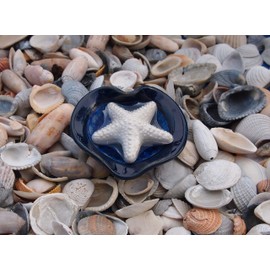 Studio 1 Originals Heart Shaped Dish with Starfish Soap (Blue/White)